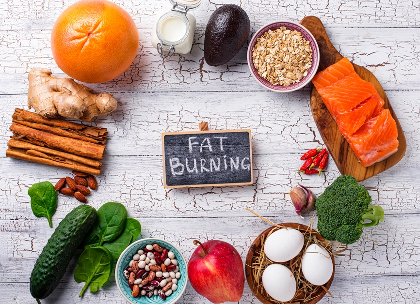 Fast Fat Burning Meals Club Review: Your Companion in Weight Loss journey