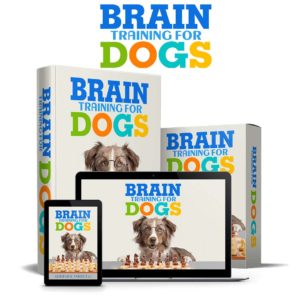 Brain training for dogs product review